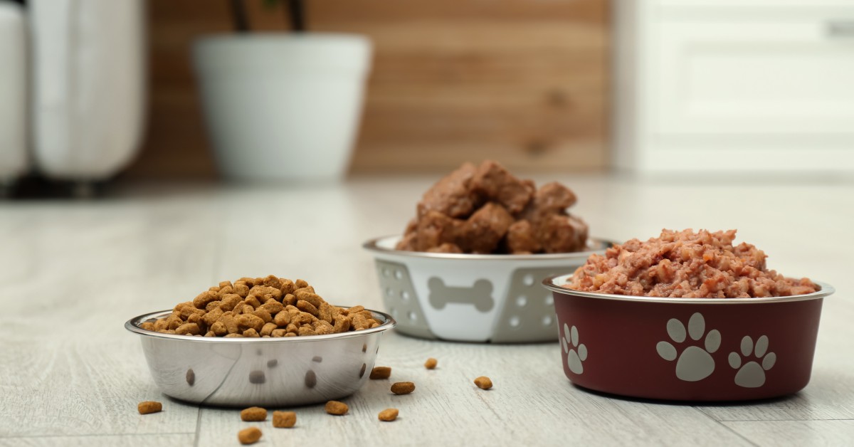 Homemade Pet Food: Benefits, Risks, and Essential Nutrients